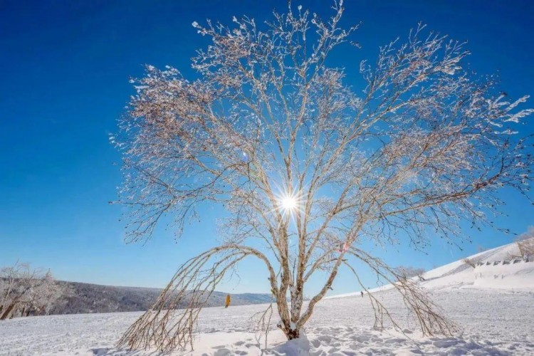 线路推荐|来哈尔滨开启一场中国雪乡-亚布力穿越自驾之旅！